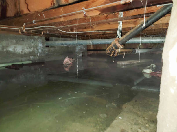 Reliable Anacoco, LA Water damage restoration Solutions