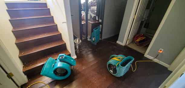 Best Basement water damage restoration  in Anacoco, LA
